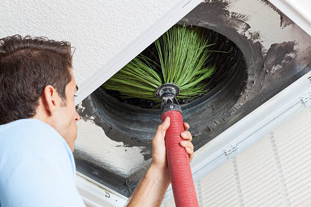 Best Commercial Air Duct Cleaning  in Allen Park, MI